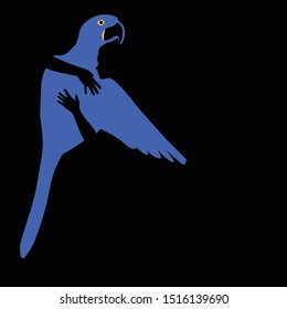 Endangered Species - Pix Macaw - animal hugged by a person
