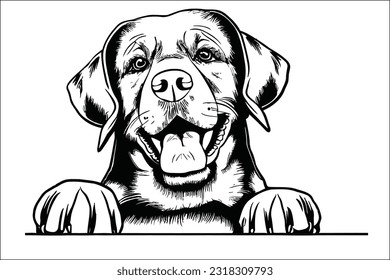 Endearing Chesapeake Bay Retriever dog peeking, showcasing its loyalty and intelligent gaze, capturing hearts