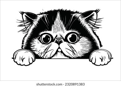 Endearing Exotic Shorthair cat curiously peeks, capturing hearts with its adorable charm. This delightful feline companion embodies cuteness and sophistication