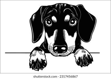 Con una mirada encantadora, la cabeza del Dachshund se alegra con su larga y curiosa mirada. Este archivo EPS captura las características distintivas de la raza, desde sus ojos expresivos hasta el hocico alargado.