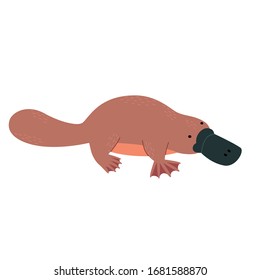 Endemic Australian platypus. Vector illustration isolated on white.