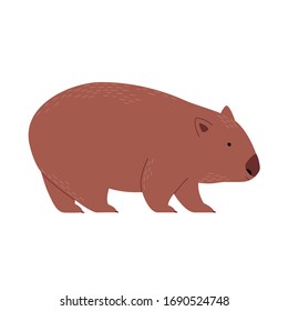 Endemic Australian wombat. Vector ittustration isolated on white.