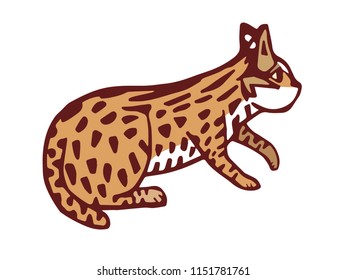 Endemic species in Taiwan─
Endangered Leopard Cat