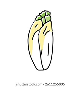 endive salad food color icon vector. endive salad food sign. isolated symbol illustration