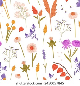 Fondo sin fin con flores silvestres secas: physalis, tansies, gypsophila. Diferentes plantas de flor silvestres y de jardín. Patrón repetible de flores de prado. Fondo floral. Ilustración vectorial plana sin costuras