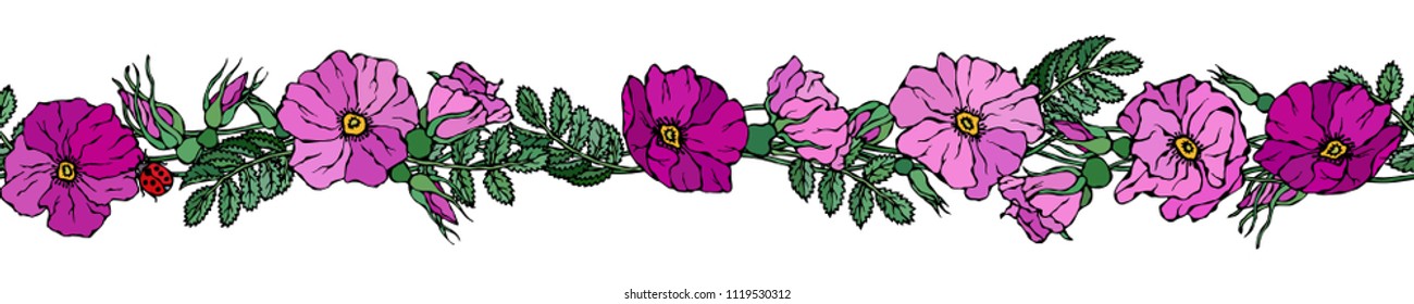 Endless Brush Border with Wild Roses. Summer Flowers Greeting Card or Wedding Background. Hand Drawn Illustration. Doodle Style.