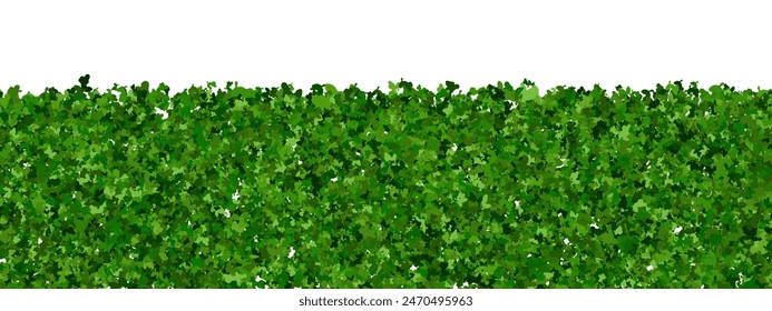 Arbusto interminable de madera de caja verde como un seto de hoja perenne. Valla de plantas con textura abstracta de la hoja. Vector bg