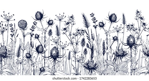 Endless horizontal background with meadow wild herbs and flowers. Hand drawn vectorl illustration isolated on white.