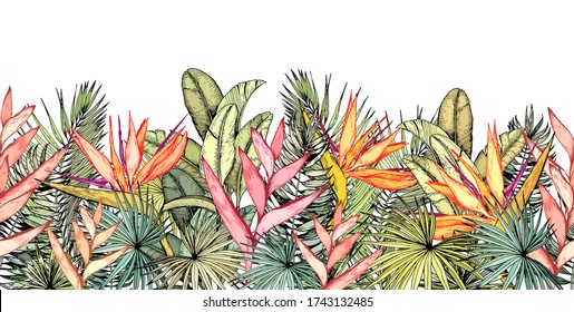 Endless horizontal border with tropical palm leaves, heliconia and strelitzia flowers. Paradise Bird flowers.