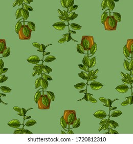 endless pattern from Yuka's houseplant