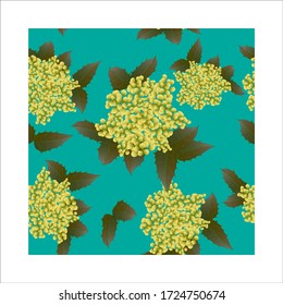 
endless seamless pattern of mahonia flowers on a turquoise background