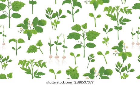 Endless seamless pattern with plant ornament. Seedlings of tomatoes, peppers, cucumbers, strawberries. Packaging design for farms. Vector illustration isolated on transparent background.