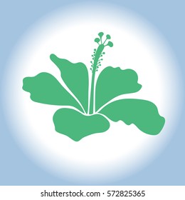 Endless vector icon for romantic design, decoration, greeting cards, posters, flyers, prints, for textile print or fabric. Floral bright summer isolated hibiscus flower in blue and green colors.