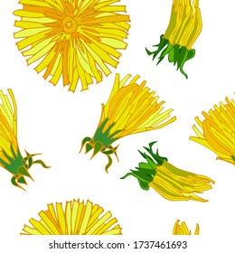 Endless yellow dandelion flower pattern
