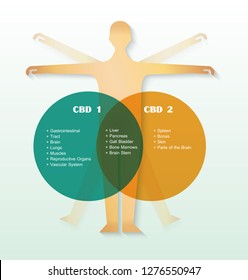 Endocannabinoid system cb1 and cb2 receptors human body cell infographic