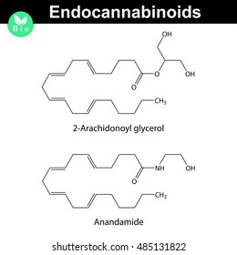 Endocannabinoids chemical molecular structures, signaling molecules, 2d vector illustration, eps 8