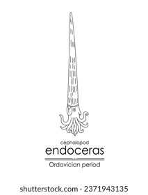 Endoceras, an Ordovician period cephalopod, is well-suited for both coloring and educational purposes in a black and white line art illustration