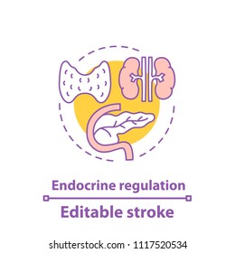Endocrine regulation concept icon. Endocrinology idea thin line illustration. Healthcare. Thyroid gland, pancreas. Vector isolated outline drawing. Editable stroke