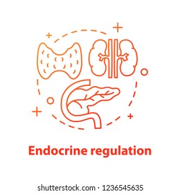 Endocrine regulation concept icon. Endocrinology idea thin line illustration. Healthcare. Thyroid gland, pancreas. Vector isolated outline drawing