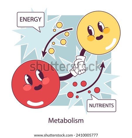 Endocrine system function. Cellular metabolism. Biochemical reaction in human body cells that produce the energy. Metabolic pathway. Flat vector illustration