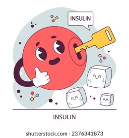 Endocrine system. Insulin function. Pancreas gland hormones secretion and balance. Metabolism regulation. Flat vector illustration