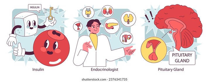 Órganos del sistema endocrino y conjunto de enfermedades. Las glándulas humanas funcionan. hipófisis, glándula suprarrenal y tiroidea. Secreción y hormonas humanas. equilibrio. Regulación del metabolismo. Ilustración vectorial plana
