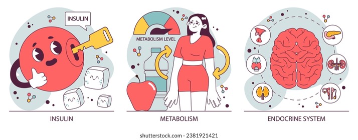 Órganos del sistema endocrino y conjunto de enfermedades. Las glándulas humanas funcionan. hipófisis, glándula suprarrenal y tiroidea. Secreción y hormonas humanas. equilibrio. Regulación del metabolismo. Ilustración vectorial plana