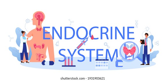 Endokrine System-typografische Header. Schilddrüsenuntersuchung. Der Arzt untersucht Hormon und Glukose. Vorstellung von Gesundheit und medizinischer Behandlung. Einzelne flache Vektorgrafik