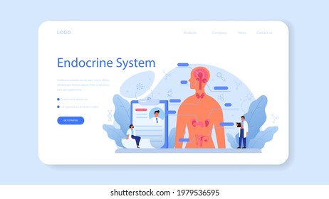 Endocrinologist web banner or landing page. Thyroid examination. Doctor examine hormone and glucose. Idea of health and medical treatment. Isolated flat vector illustration