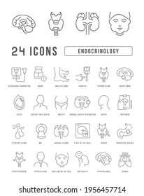 Endocrinology. Collection of perfectly thin icons for web design, app, and the most modern projects. The kit of signs for category Medicine.