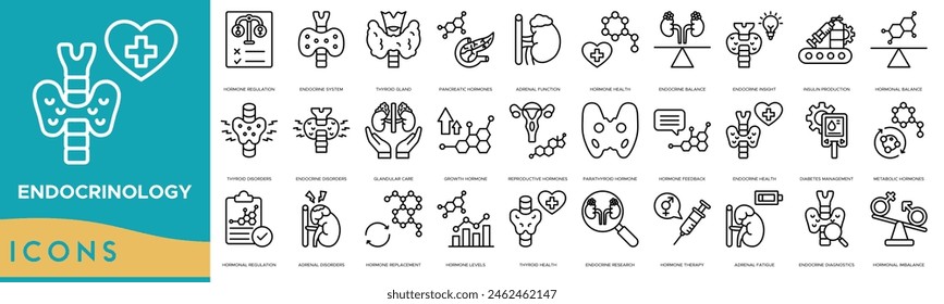 Endokrinologie-Icon-Set. Hormonregulation, endokrines System, Schilddrüse, Bauchspeicheldrüsenhormone, Nebennierenfunktion, Hormongesundheit, endokriner Ausgleich, endokriner Einblick, Insulinproduktion