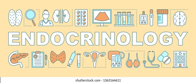 Endocrinology word concepts banner. Endocrine glands disease. Diabetes, hormones regulation. Presentation, website. Isolated lettering typography idea with linear icons. Vector outline illustration