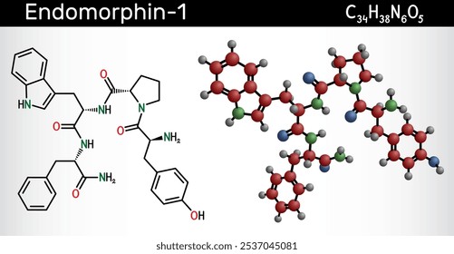 Endomorphin-1 (EM-1) molecule. Endogenous  opioid peptide for pain modulation. Structural chemical formula and molecule model. Vector illustration