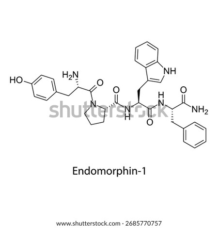 Endomorphin-1 molecular structure, endogenous tetrapeptide potent ?-opioid receptor agonist analgesic neuropeptide, clean scientific vector diagram, flat skeletal chemical formula isolated 