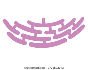 Endoplasmic Reticulum Cell Anatomy Illustration