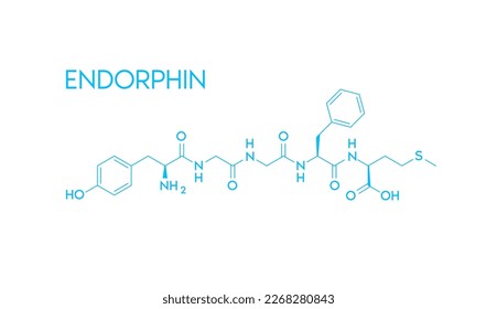 Endorphin-Strukturformel einzeln auf weißem Hintergrund. Vektorgrafik EPS10. Hormon im menschlichen Gehirn. Medizinische wissenschaftliche Konzepte.