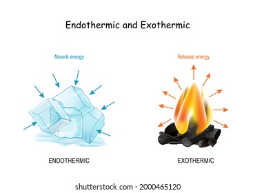 904 Exothermic Images, Stock Photos & Vectors | Shutterstock