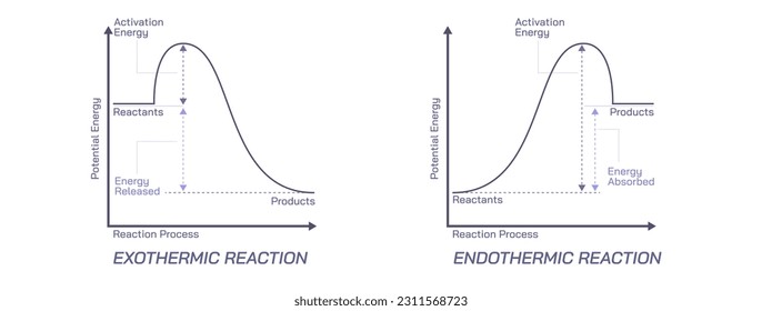 Ilustración vectorial del diagrama de reacción endotérmica y exotérmica. Reactantes e imagen del producto. estudiantes de ciencias estudian la imagen material. ilustraciones bioquímicas de tema. Imagen de energía potencial. entropía