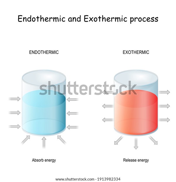 endothermic-reaction-absorbs-thermal-energy-exothermic