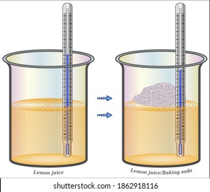 Endothermic Reaction - Change in Enthalpy
