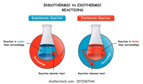 Endothermic Vs Exothermic Reactions Infographic Diagram showing a comparison between them and major differences of absorbing and releasing heat for chemistry science education