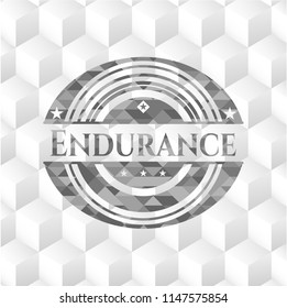 Endurance realistic grey emblem with cube white background