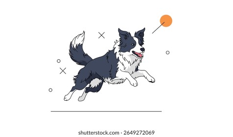 Energetic Border Collie Dog Chasing an Orange Ball in a Fun Playful Outdoor Setting