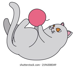 Energetic cat of gray color playing with a pink ball of wool or yarn, isolated over white background.