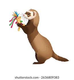 Energetic Ferret Pet Engaging With Play Toy on Clean White Background Studio