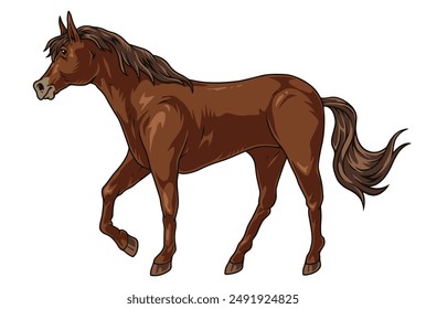 Energetic horse colorful detailed element with foal with lush mane and tail with a beating hoof on ground vector illustration