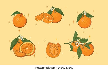 Energize your designs with our vibrant oranges clip art. Lifelike detailing and warm hues bring a burst of freshness, perfect for digital or print projects.