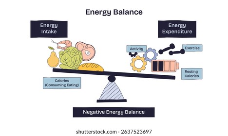 Energy balance shows the relationship between energy intake (food) and energy expenditure (activity, exercise) using a seesaw. Doodle style diagram