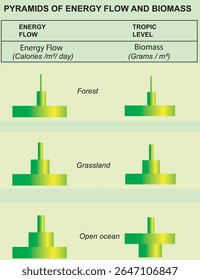 Fluxo de energia e biomassa em diferentes biomas