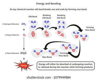 Energy and Bonding infographic diagram with example of forming new bond after breaking old bond and releasing energy of water molecule for chemistry science education